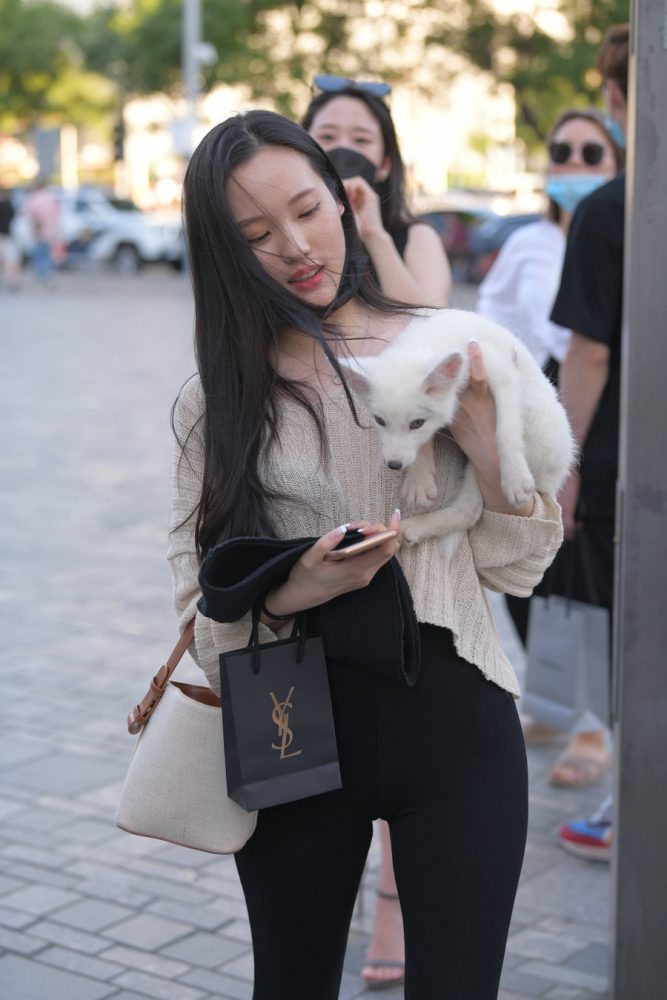 抱着小狗的漂亮女孩 J2106 136P-3.25GB-多丫图库